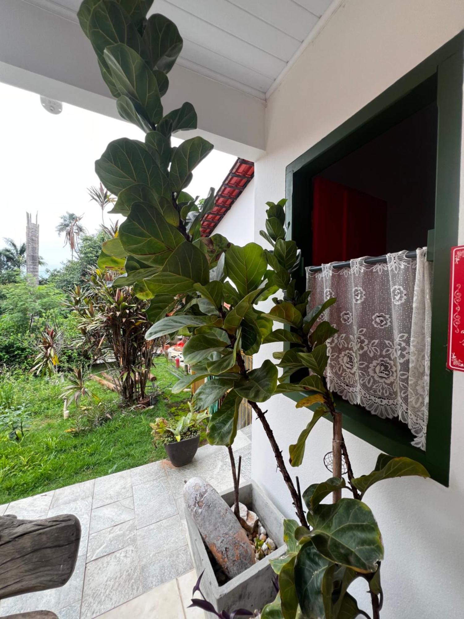Toca Do Lobo Otel Pirenópolis Dış mekan fotoğraf